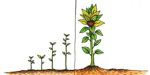 Qual a diferença entre juros simples e juros compostos?